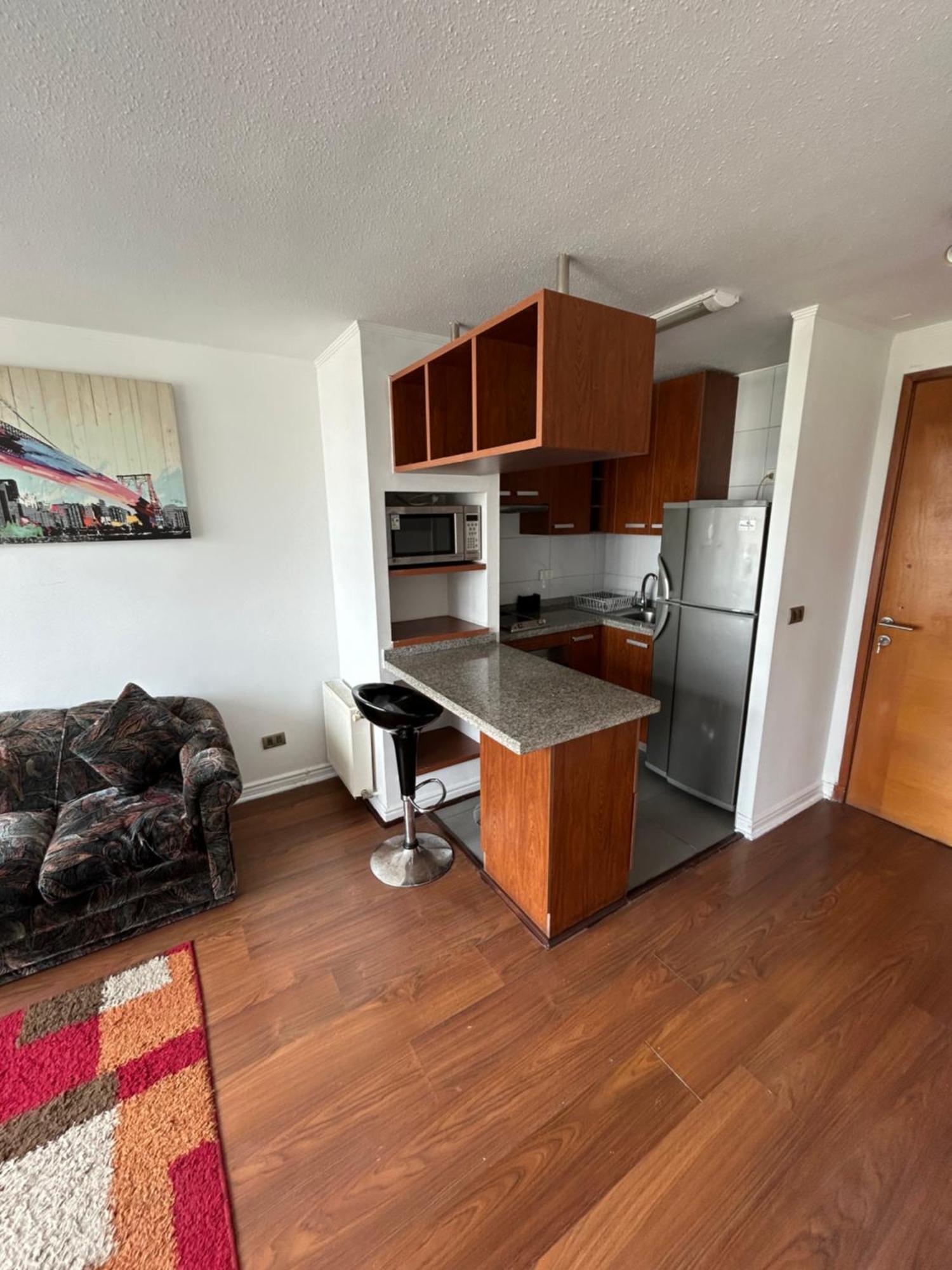 Mirador Parque Apartment Concepcion Exterior photo